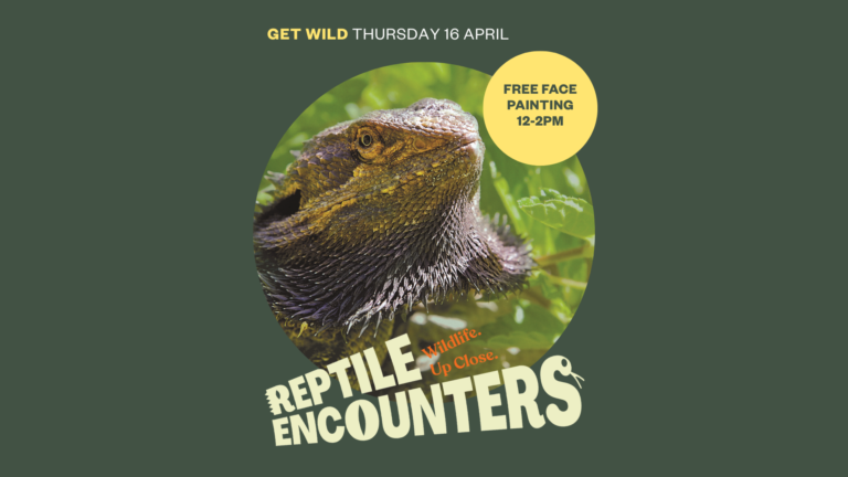 Reptile Encounters